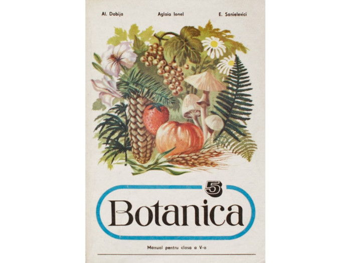 Botanica_-_manual_pentru_calsa_a_V-a-Al._Dabija._Aglaia_Ionel_E._Sanielevici-Didactica_si_pedagocica - manual