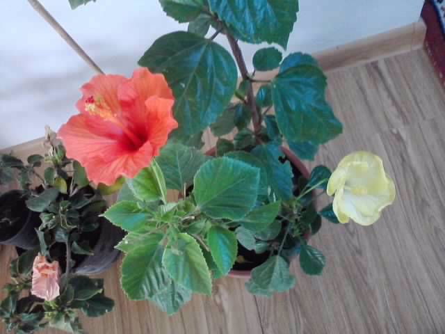 P201012_03.40_[01]