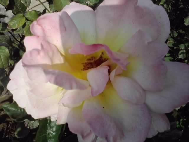 P201012_04.17_[03]