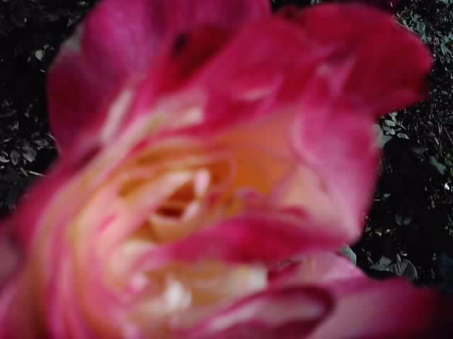P201012_04.17_[05]