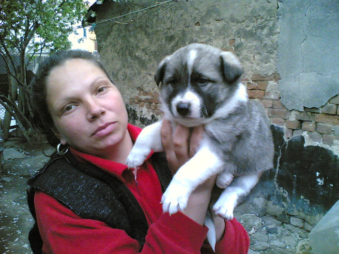 03042008(003) - z Caini si pisici adoptate - Crescute si  date spre adoptie