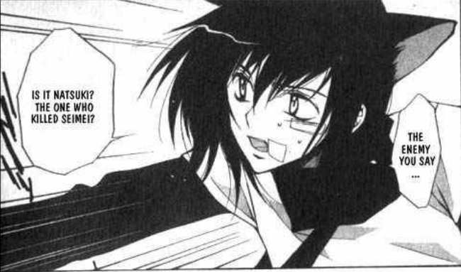 ritsuka 26