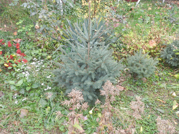 DSCN2185