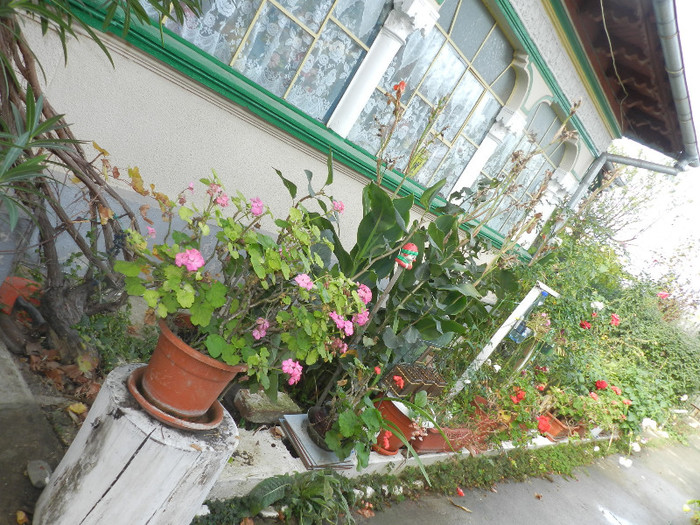 DSCN2081