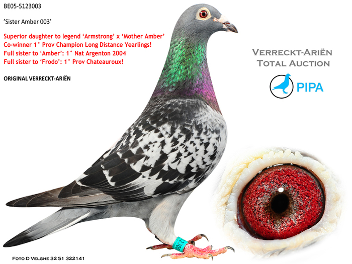 BE05-5123003-daughter Armstrong