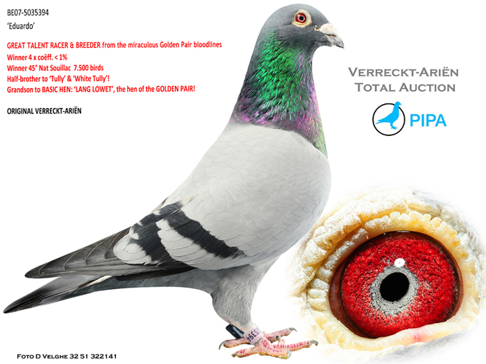 BE07-5035394-eduardo