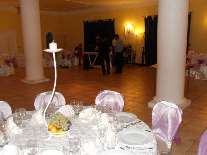 villa coesia 865 - sala Roma