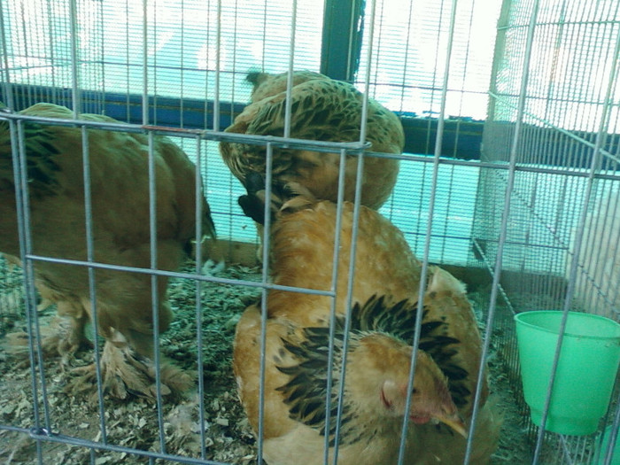SPM_A0303 - Copy