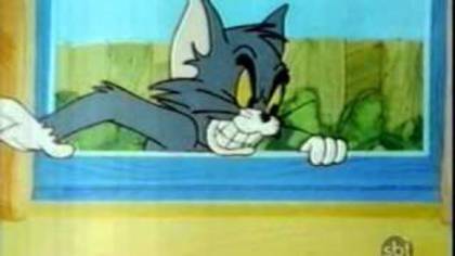 Tom si Jerry Comedie Show - Tom si Jerry Comedie Show