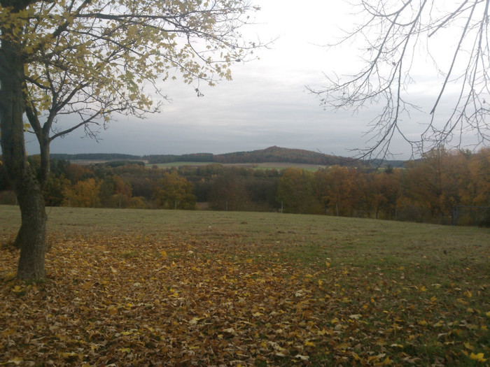 Frumoasa Germanie de sud