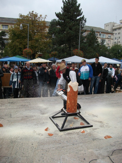 DSCF9668 - sculptura cu drujba