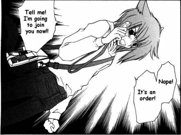 ritsuka 47 - Loveless manga