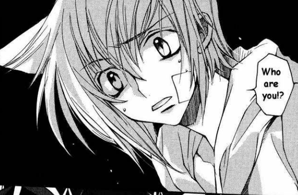 ritsuka 48 - Loveless manga