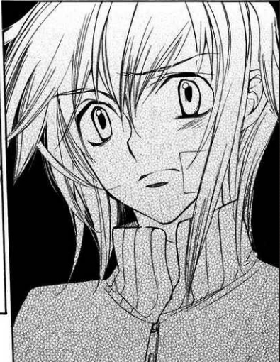 ritsuka 53 - Loveless manga