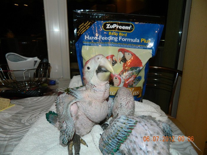 poze iunie-august 2012 272