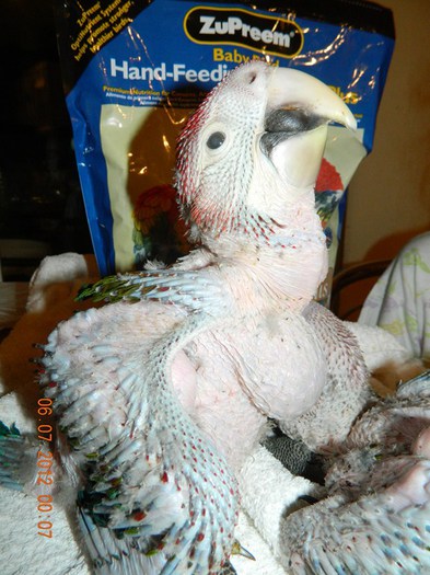 poze iunie-august 2012 274