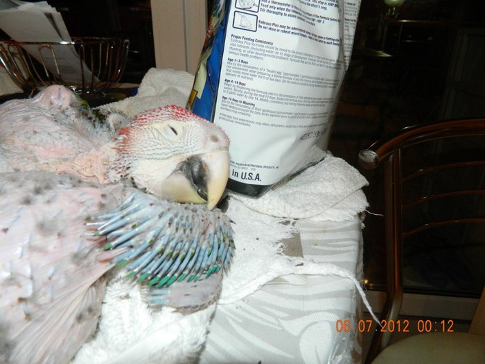 poze iunie-august 2012 277