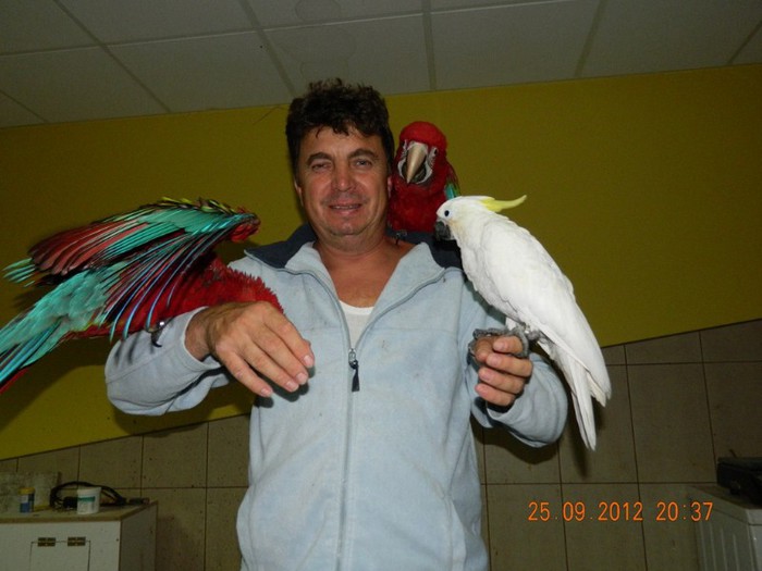 092 - Ara Pui 2012 - 3 luni