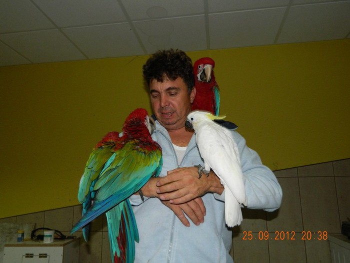 095 - Ara Pui 2012 - 3 luni