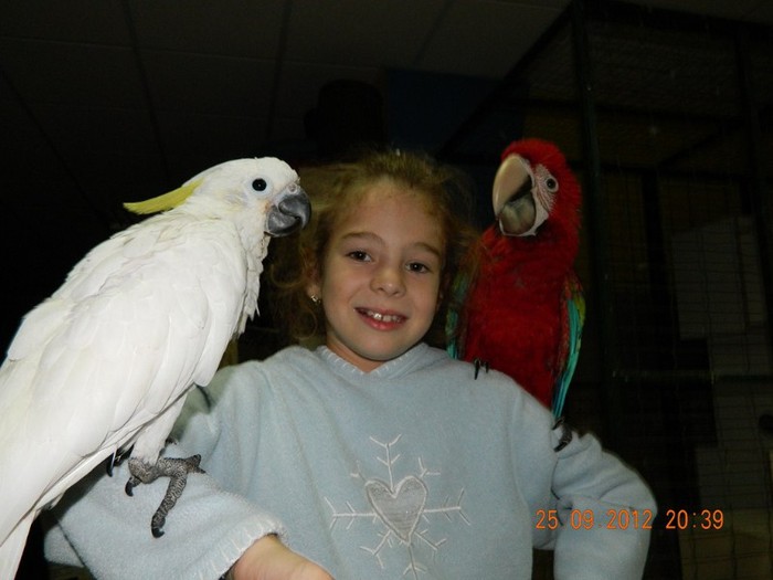 104 - Ara Pui 2012 - 3 luni