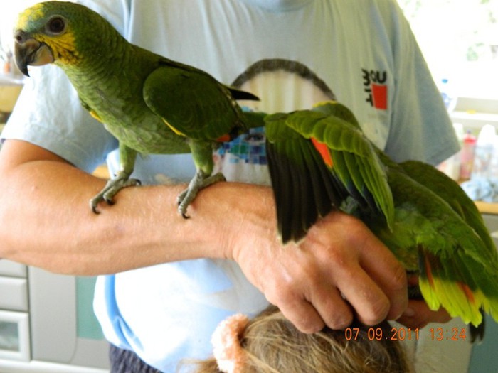 poze vara 2011 604 - Amazon Pui - 2011