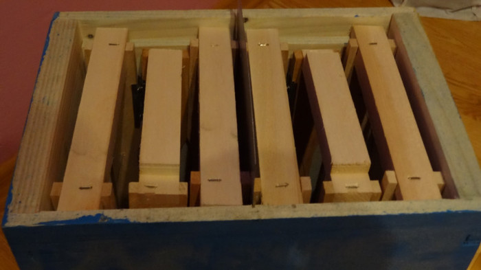 DSC07999 - APICULTURA