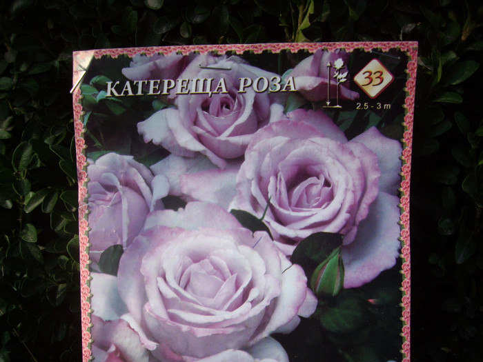 IMGP3831 - achizitii  1 andra