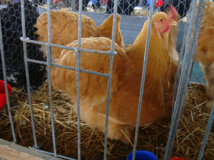 DSC05562