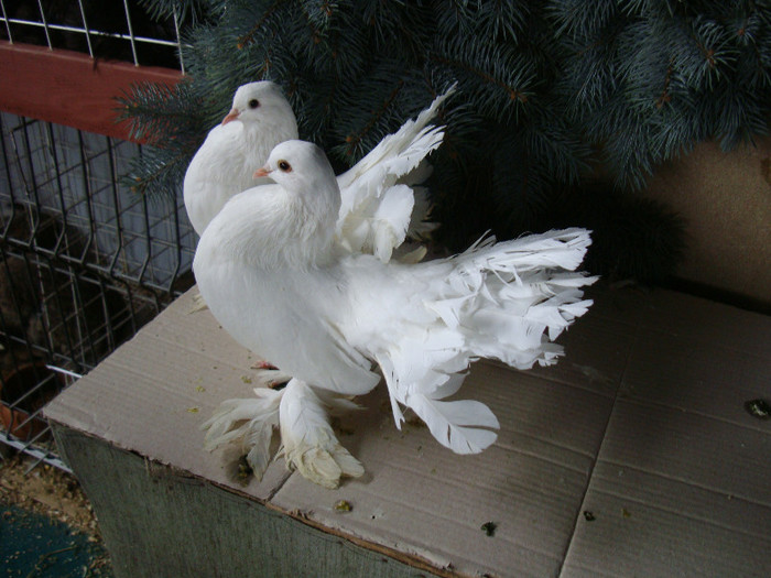 DSC05575