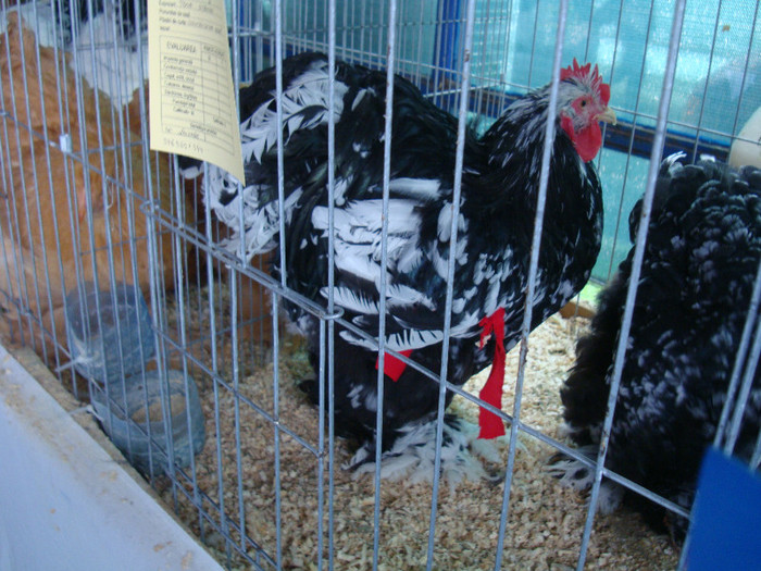 DSC05589