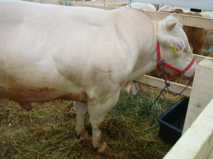 DSC05664