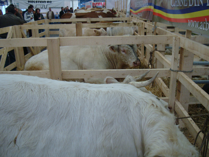 DSC05669