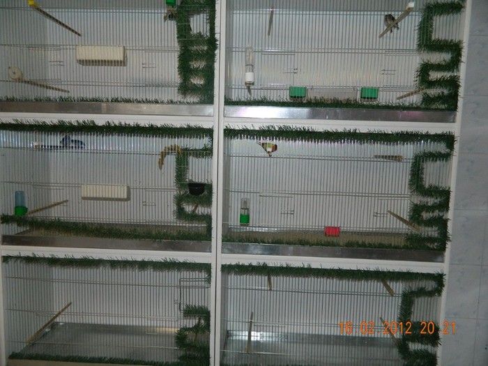 poze dec 2011-ian 2012 206