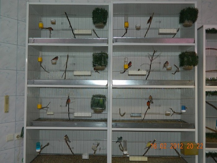 poze dec 2011-ian 2012 208