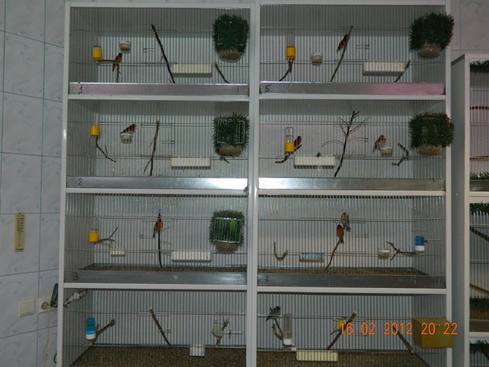 poze dec 2011-ian 2012 209