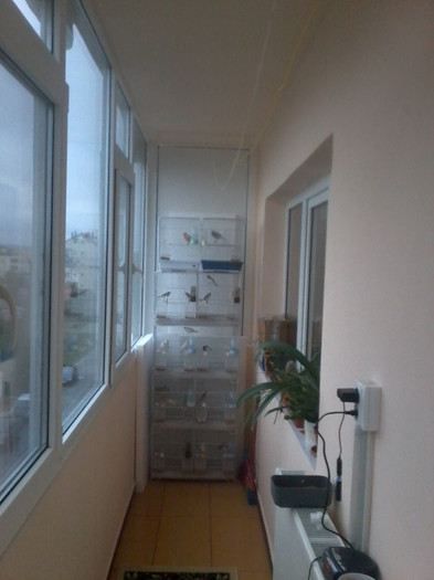 locatia pasarilor  octombrie 2012