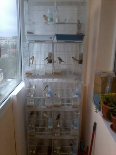 balcon renovat din temelii octombrie 2012; 2012 ....... toamna
