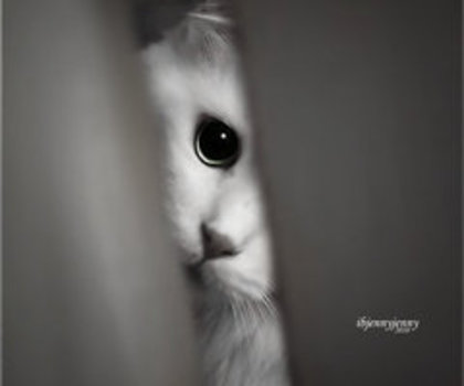 tumblr_mcfsncCglh1qg78qwo1_500_thumb - Artistic nu gluma THE BEST ARTISTIC