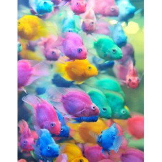 2012_10_photo-13b13f110-711165-305-305 - Artistic nu gluma THE BEST ARTISTIC