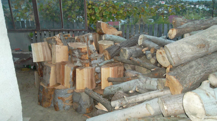 SAM_3244 - lemne pentru iarna