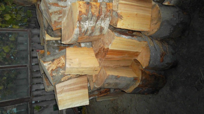 SAM_3245 - lemne pentru iarna