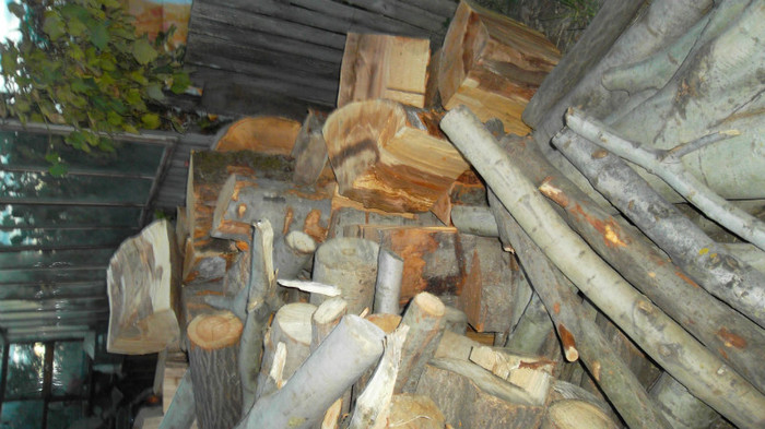 SAM_3248 - lemne pentru iarna