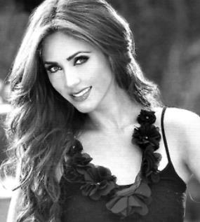 403866_271812512901510_624414125_n - Anahi