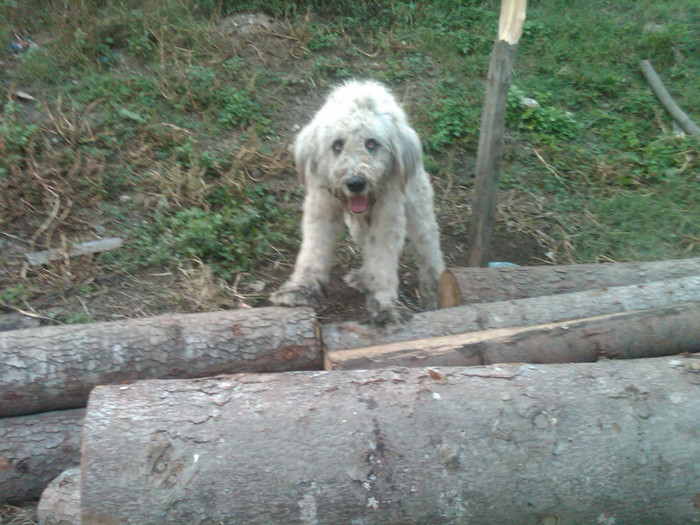 IMG00099-20121015-1810