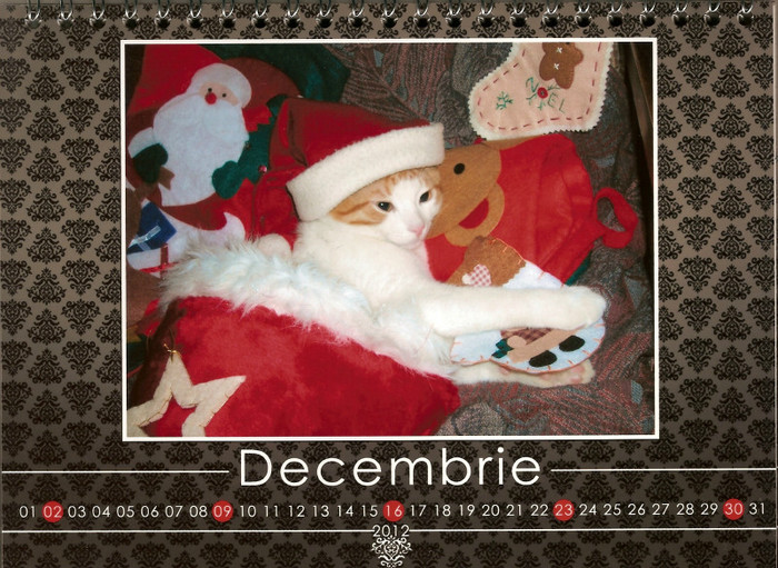 scan0014 - 022 CALENDAR PENTRU 2012