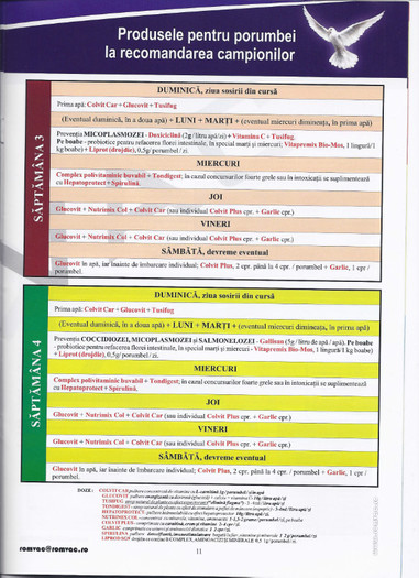 program pregatire porumbei; program pregatire porumbei
