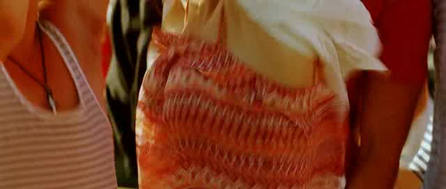 vlcsnap-00331 - Tumhi Ho Bandhu