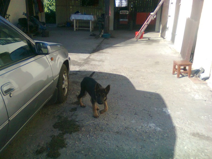 Wolfi in inspectie