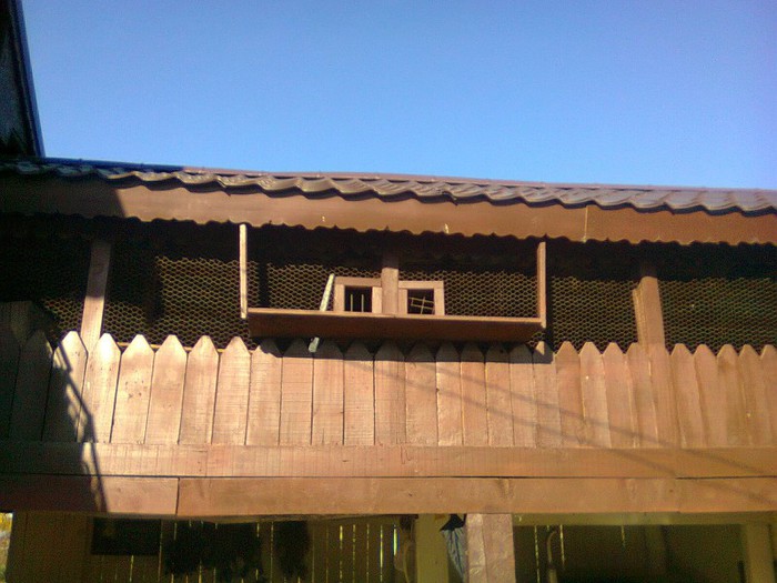 Voliera porumbei