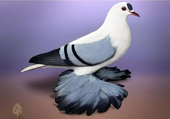 531108_10151245278324311_272617942_n